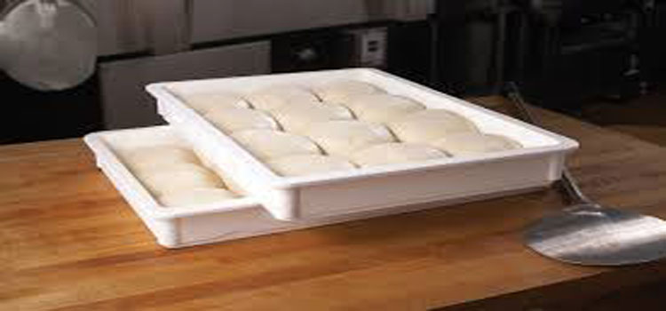 Best pizza dough proofing box