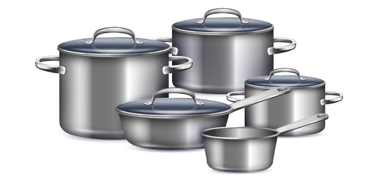 Delmonico's stainless steel cookware